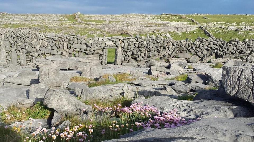 Lanelodge Doolin Village Exteriör bild